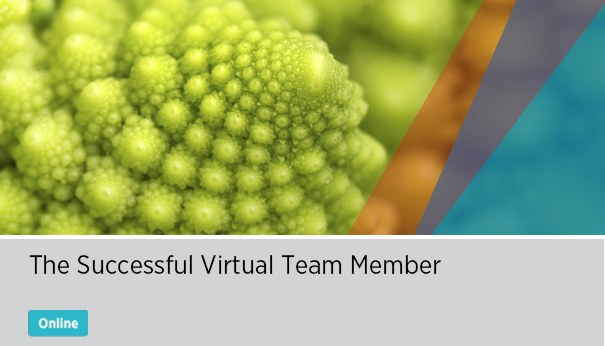 The Successful Virtual Team Member