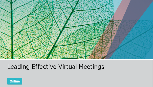 Leading Effective Virtual Meetings